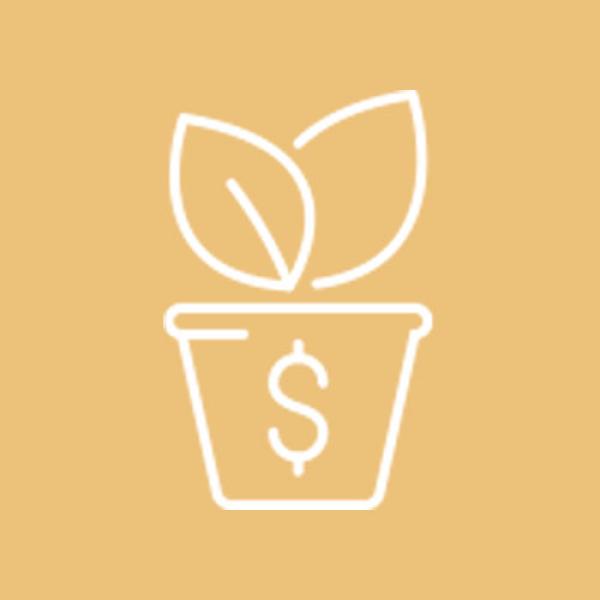 Funding Entrepreneurs Icon