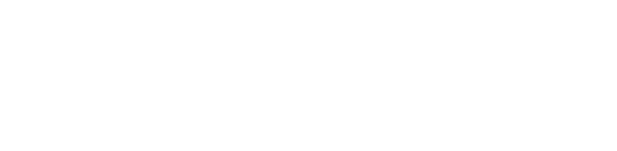 bmf logo