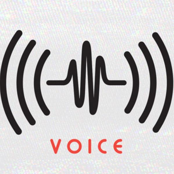 Voice